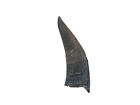 Real Black Goat Horn: Small (318-1BKS-AS) 8UL28