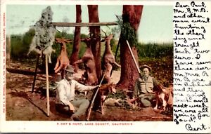 Postcard A Day's Hunt in Lake County, California Hunters, Deer, Dogs, Camp