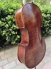 Nice Brown Master cello 1/2,SONG Brand,Spruce Maple wood Good Sound #15460