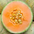 Honeydew Melon Seeds - Heirloom Non-GMO, Free Shipping, Orange Flesh Variety