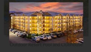 July 4th Pigeon Forge, TN; 1 Bedroom Deluxe Condo, 2 night vacation getaway