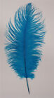 Turquoise Ostrich Feathers 12-16 inch long per each