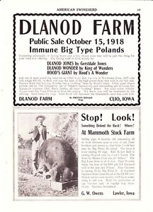1918 American Swineherd Hog Sales   Dlanod Clio IA Lawler & Seymour IA Kenney IL