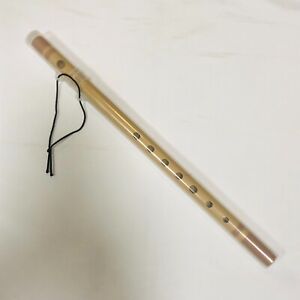 Nichion plastic shinobue 7-hole 7-tone Traditional Japanese Flute Tuned to B