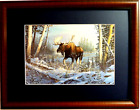 MOOSE PICTURE 