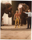 Circus Performer Elephants Vintage Color Photo Ringling Bros Barnum & Bailey 123