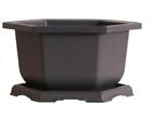 Large Hexagonal Bonsai Pot and Drip Tray - 11 inch Container with Tray