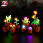 LocoLee LED Light Kit for Lego 10329 Tiny Plants Cactus Creative Decor Lighting