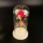 Rose Flower In Glass Gifts For Women Wife Her Valentine Girlfriend Birthday Gift