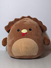 Squishmallow Terry the Turkey 12” Thanksgiving Brown Learning Express