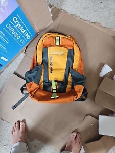 Patagonia Yerba 22L orange Google employee backpack EUC