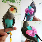 Pet Bird Flight Suit with Bow Tie Parrot Diaper Parakeet Pigeon Diaper Clothes