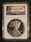 1994 P NGC PROOF PF69 UC HERALDIC SILVER EAGLE CLASSIC LIBERTY BELL LABEL S$1