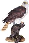 Wildlife Red Tailed Hawk Eagle Birds of Prey Figurine Statue 10 Inch