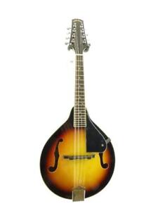 Lucky Penny A-Style Acoustic Bluegrass Mandolin in a Violinburst FInish
