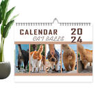 2024 Calendar Funny Cat Balls Calendar Wall Calendar Monthly Planner Calendar