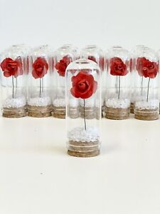 10 pcs Wedding Favors for Guests, Party Favors, Beauty and the Beast, Glass Dome