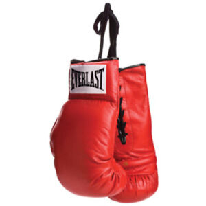 Everlast Red Lace Autograph Boxing Gloves