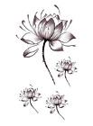 Women Lotus Flower Temporary Tattoo Stickers Body Art Waterproof