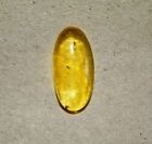 4.60 Cts. Natural Genuine Old Baltic Amber Untreated Certified Gemstone