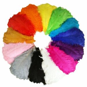5 pcs 50-55 cm/20-22 INCH Hard Rod high quality Ostrich Feathers Carnival Plumas