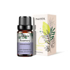 10ml Essential Oil Rosemary Oils- Pure and Natural Essential Oils for Hair Care