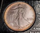 GEM BU 1991 American Silver Eagle Dollar Coin RAINBOW TONED 999 Fine Bullion