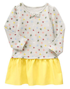 NWT Gymboree Wildfllower Weekend Ladybug Dress SZ 2T,3T,4T,5T Girl Toddler