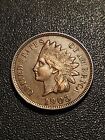 1903 Philadelphia Mint Indian Head Cent Bold AU-UNC