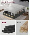 Brand New 4 Drawer Twin Storage Bed