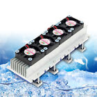 4 Chip Thermoelectric Peltier Cooler Refrigeration System Air Cooling Device