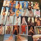27 Adult Trading Cards- Playboy And More