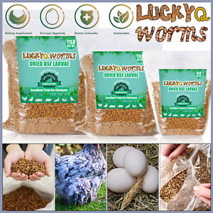 Bulk Dried BSF Mealworms for Wild Birds Food Chickens Hen Fish Treats Food Lot