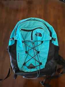 The North Face Borealis Gray Blue Flexvent Laptop Sleeve Backpack FLAWS