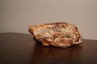 Genuine Baltic Amber Stone 76 g