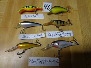 Lot of 6 Lures The Believer T.D. Shad Flicker Shad Rapala Deep Runner 5    Lot H