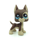 Pet Shop Great Dane Dog LPS #817 Brown Cream Blue Star Eyes Rare Puppy