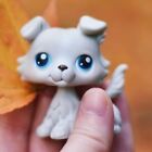 Littlest Pet Shop lps Collie #363 Gray Dog with LPS Accessories