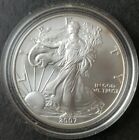 2007 $1 American Silver Eagle Dollar in a Capsule