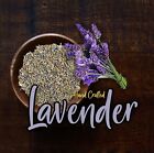 Dried Lavender Flower Bulk Lavender Herb Lavender Tea Apothecary Grade Smell US