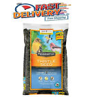 Pennington Select Thistle Seed, Dry Wild Bird Feed and Seed, 10 lb. Bag, 1 Pack
