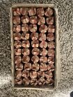 Roll of Unsearched 1909 vdb - 1982 Copper ONLY Pennies w/ Wheat Pennies