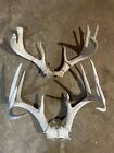 New Listing2 Wild Iowa 8 And 10 Point Whitetail Deer Racks Antlers