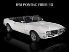 1968 Pontiac Firebird Convertible in White NEW METAL SIGN: 9x12