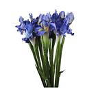 4 Bundle Real Touch Long Stems Iris Flower Silk Artificial Ireland Irish Blue