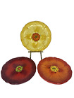 Laurie Gates Hand Painted Flower Dessert Bread Plates Set Of 3