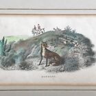 Antique Fox Hunting Scene Print Framed 'Finding' Dogs Horses Medium 35x27cm