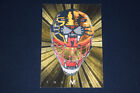 John Vanbiesbrouck 2001-02 Between The Pipes The Mask Gold Parallel /30 Panthers