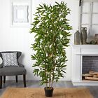 6’ Bamboo Artificial Tree (Real Touch) UV (Indoor/Outdoor). Retail $199