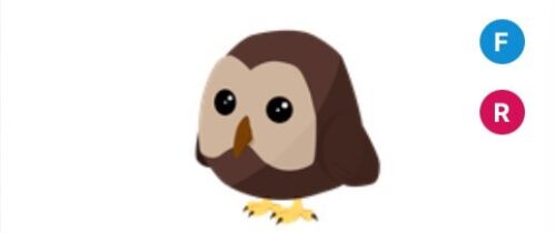 Roblox Adopt Me Owl| Cheap Pet - Fast Delivery - READ DESCRIPTION
